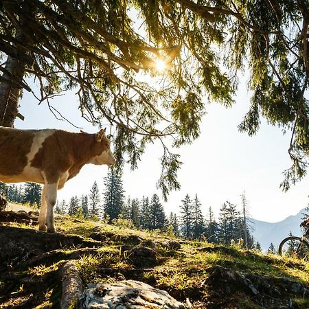 Ferienwohnung Schifterhof Ruhpolding Dış mekan fotoğraf