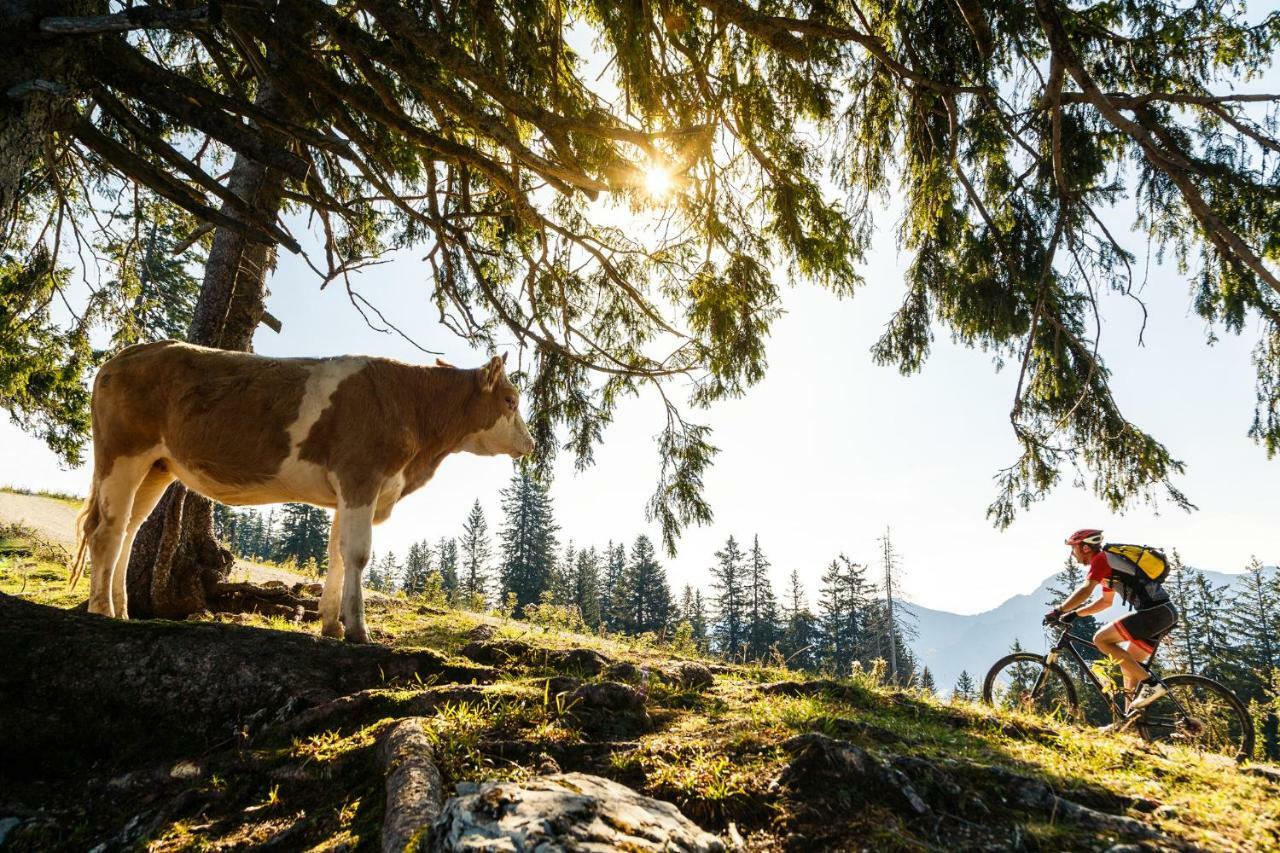 Ferienwohnung Schifterhof Ruhpolding Dış mekan fotoğraf
