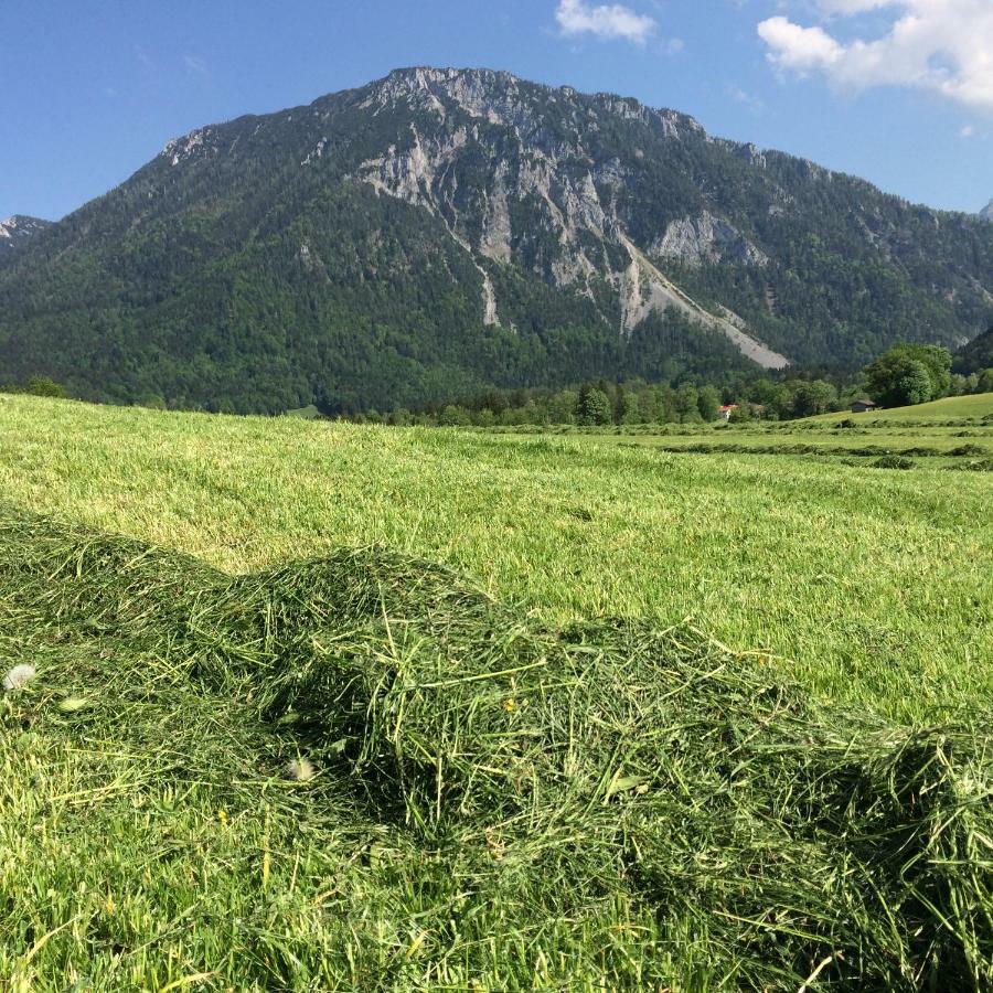 Ferienwohnung Schifterhof Ruhpolding Dış mekan fotoğraf
